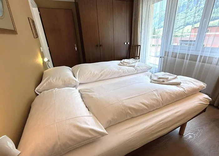 Daire Mayenzett 41 *